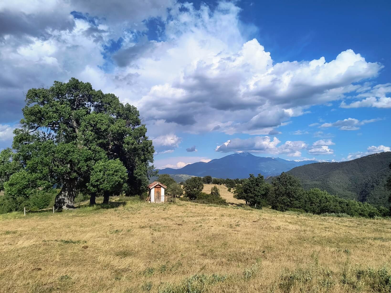 Вело Приключение из Влахина Планина 2026 — снимка 11