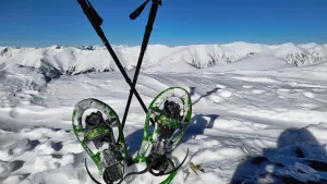 снегоходки на върха