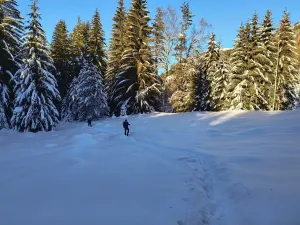 ходене из снега 