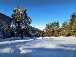 красив снежен пейзаж