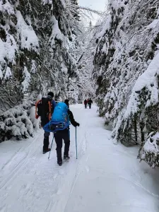 по пътя към хижа Македония
