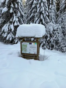 табелата под снега